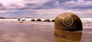 'Food baskets from the Gods'
Moeraki, New Zealand